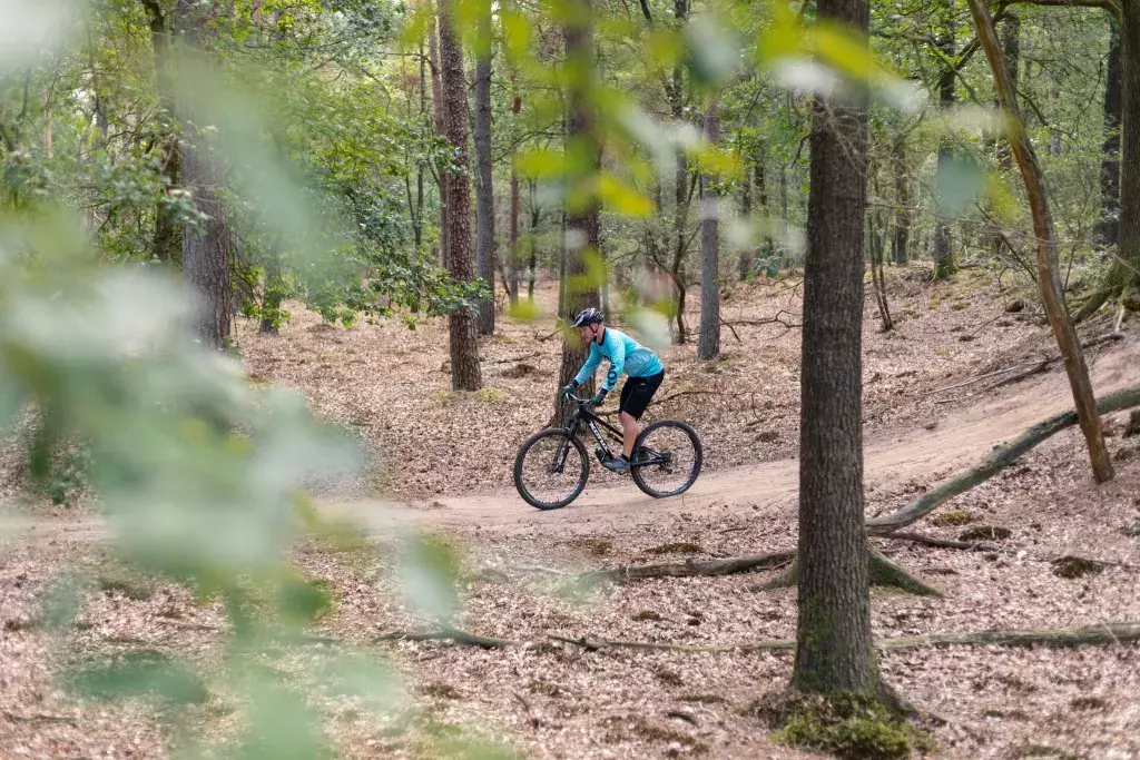 Siblu-Lentevandrenthe-Mountainbike