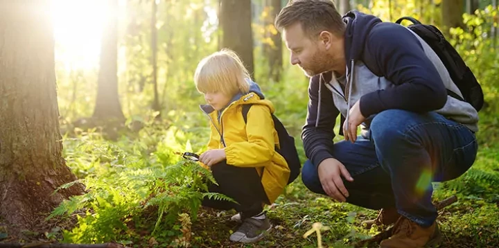 Automne camping octobre