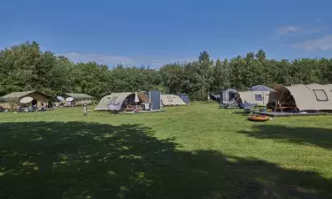 De Lente van Drenthe